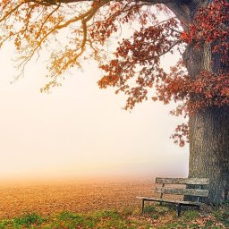 Centrum psychoterapii, Warszawa.