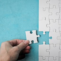 Psychoterapia psychodynamiczna online.