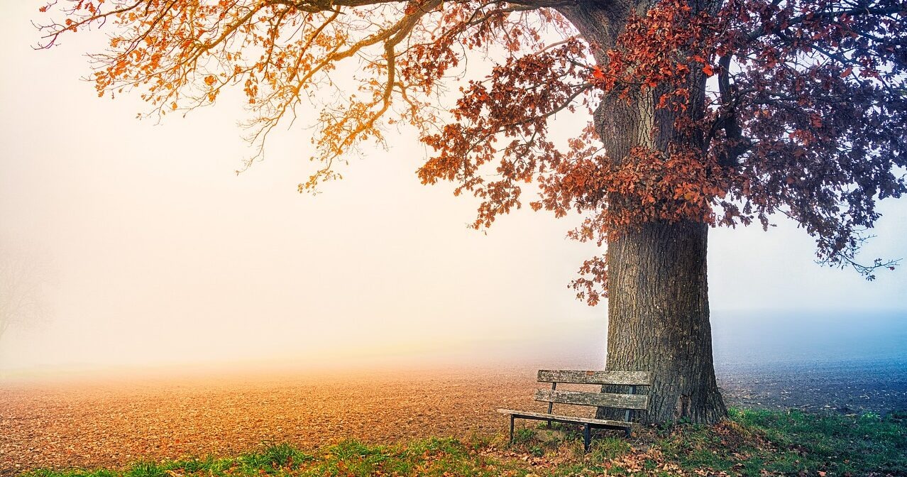 Centrum psychoterapii, Warszawa.