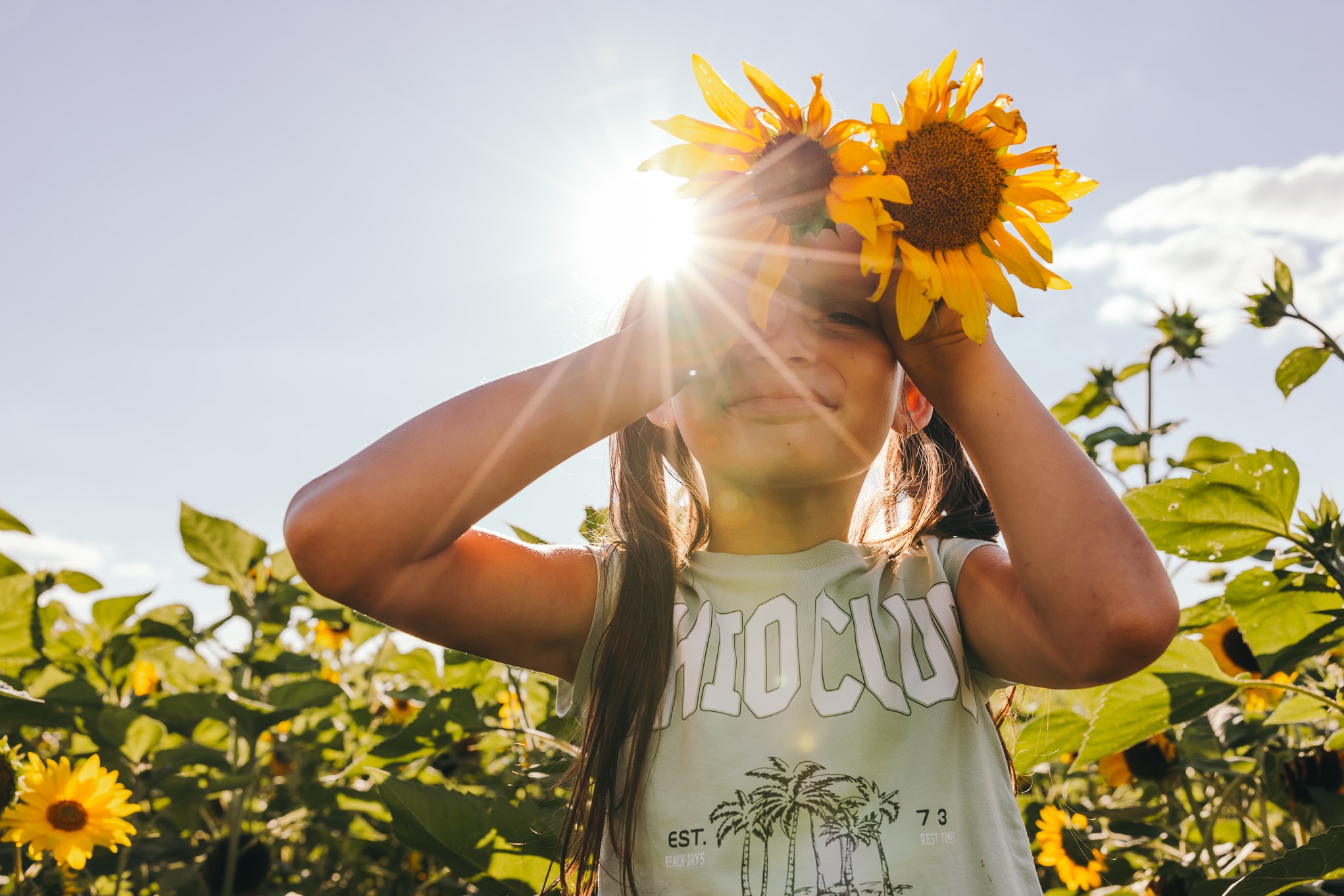 Dziewczynka z warkoczykami trzyma dwa słoneczniki przed twarzą, stojąc na polu słoneczników w słoneczny dzień. Promienie słoneczne prześwitują przez kwiaty.
