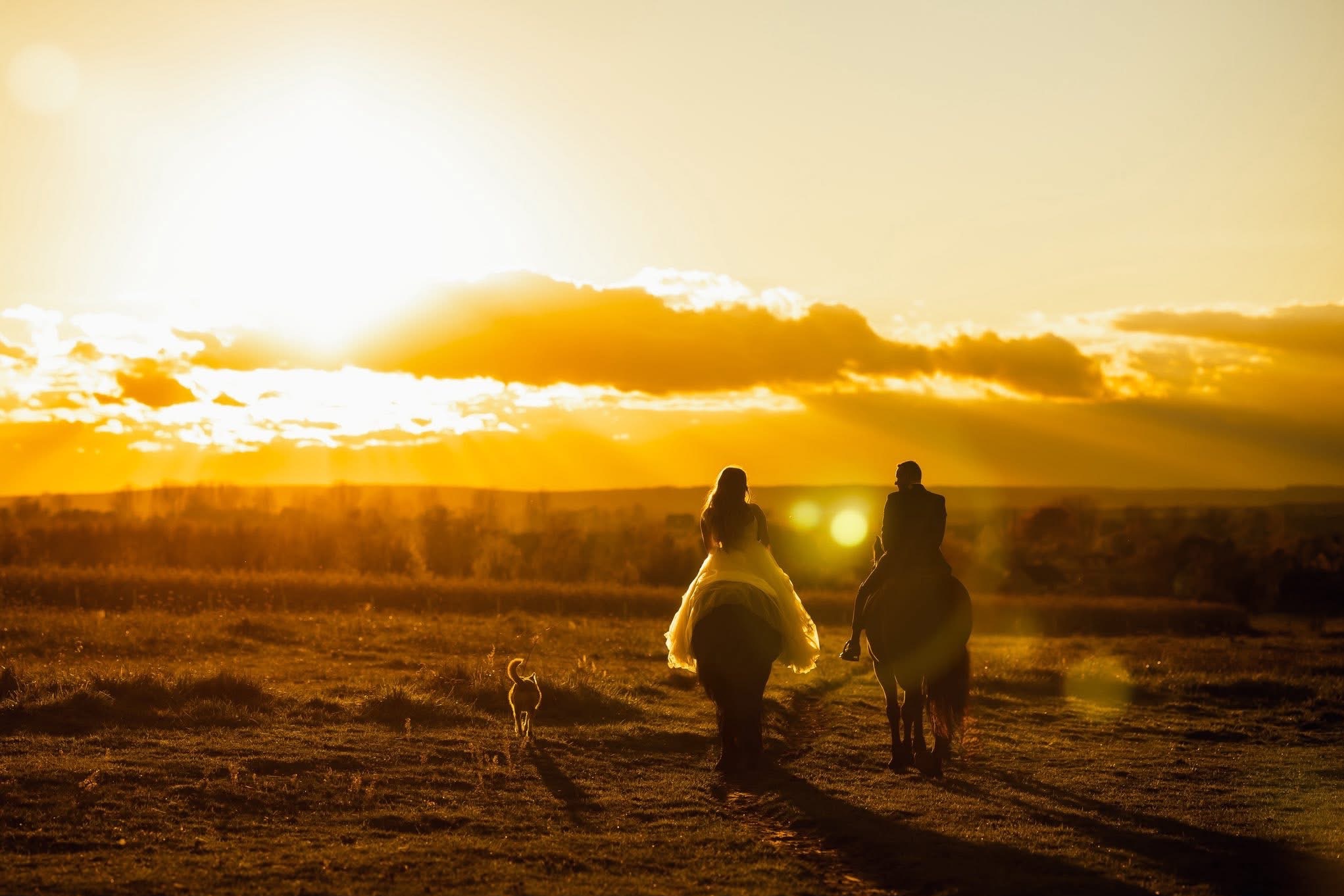 Para młoda w sukni ślubnej i garniturze na koniach podczas sesji plenerowej o zachodzie słońca. Obok biegnie pies. Romantyczna atmosfera.