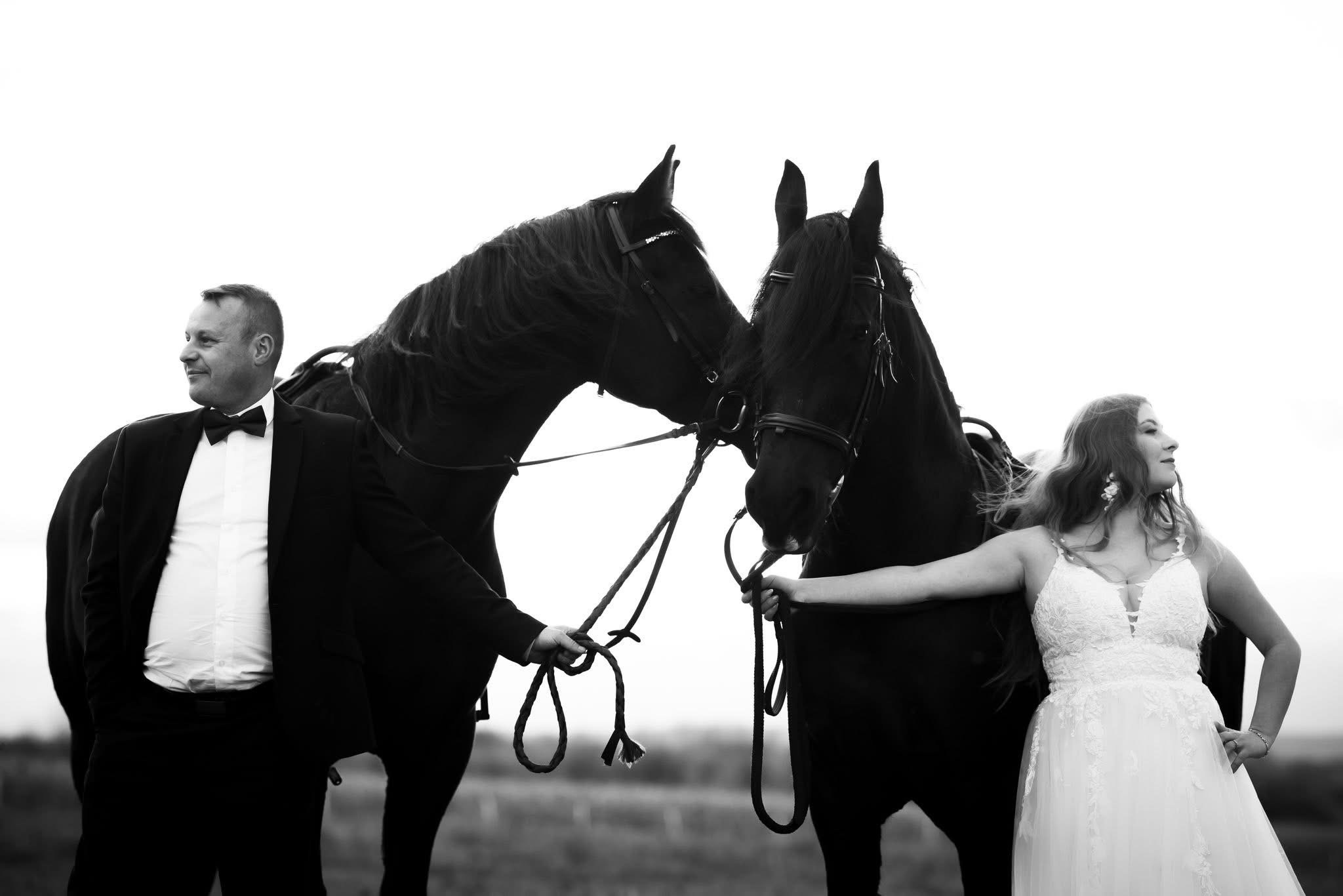 Czarno-białe zdjęcie pary młodej z dwoma czarnymi końmi. Pan młody w smokingu, panna młoda w sukni ślubnej. Nietypowa sesja ślubna w plenerze.