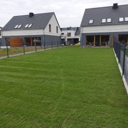 GARDEN LAWN & IRRIGATION MARCIN PIECHOTA - Nowo założony trawnik z rolki przed szeregiem nowoczesnych domów z ciemnymi dachami i szarymi elewacjami, ogrodzony panelem z siatki na betonowej podmurówce.