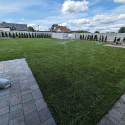 GARDEN LAWN & IRRIGATION MARCIN PIECHOTA - Świeżo ułożony trawnik z rolki, podlewany przez system zraszaczy, widoczny pracownik przy układaniu, ogrodzenie panelowe z tujami w tle, kostka brukowa na obrzeżach.