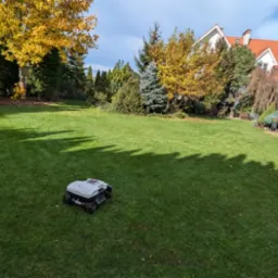 Robot koszący trawnik na tle zadbanego ogrodu z drzewami o jesiennych barwach i białego domu z czerwoną dachówką.
