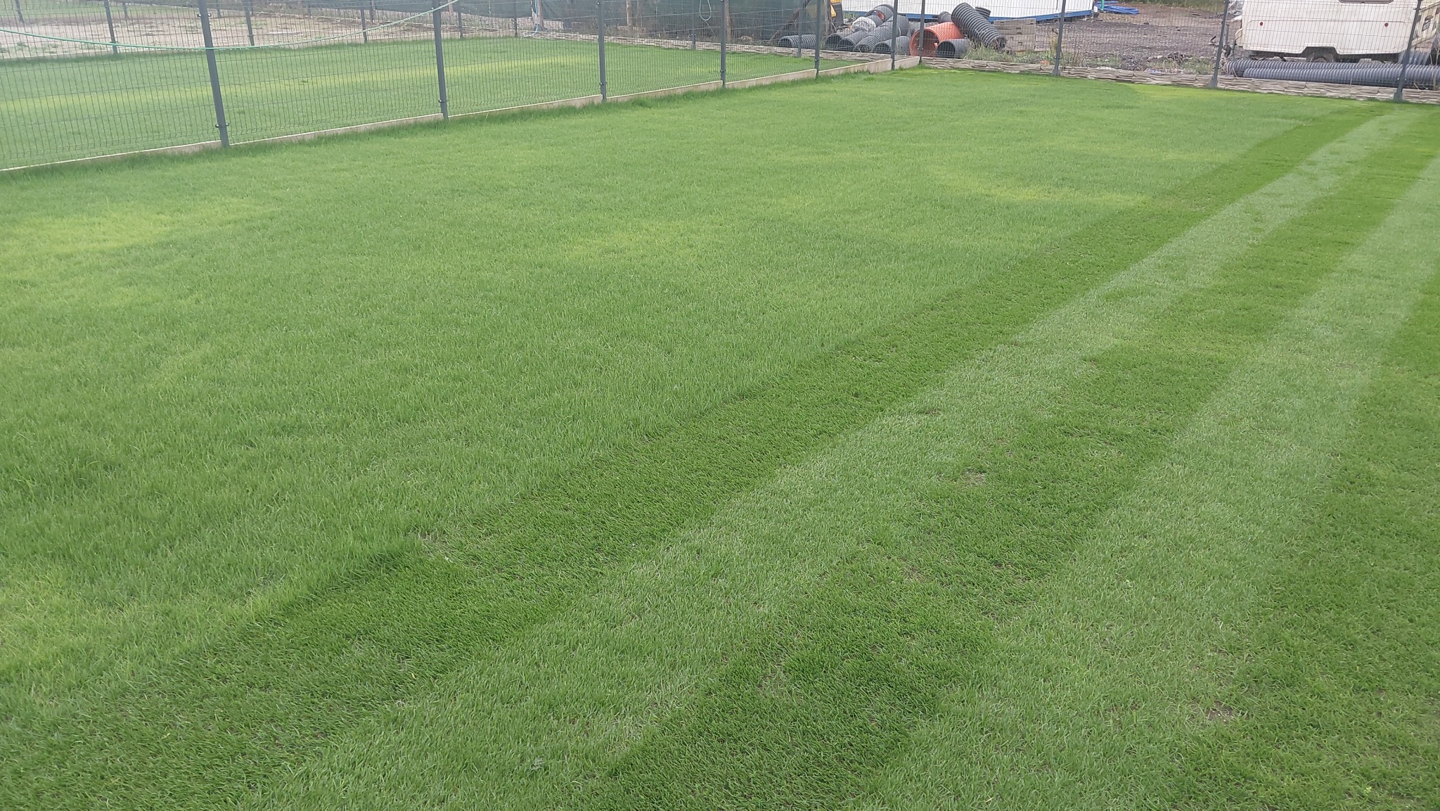 Świeżo założony trawnik z rolki, widoczne pasy po koszeniu, ogrodzenie panelowe w tle, teren przygotowany pod dalsze prace.