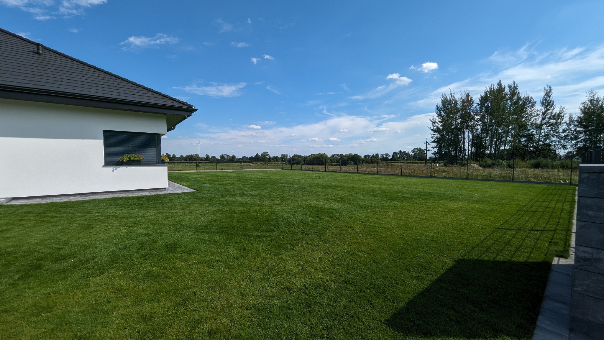Rozległy trawnik z rolki przed nowoczesnym domem z szarą dachówką, widok na ogrodzenie panelowe i odległe drzewa pod błękitnym niebem.