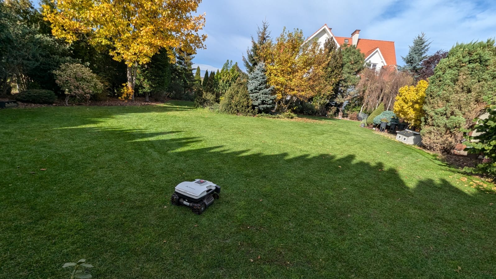 Robot koszący trawnik na tle zadbanego ogrodu z drzewami o jesiennych barwach i białego domu z czerwoną dachówką.