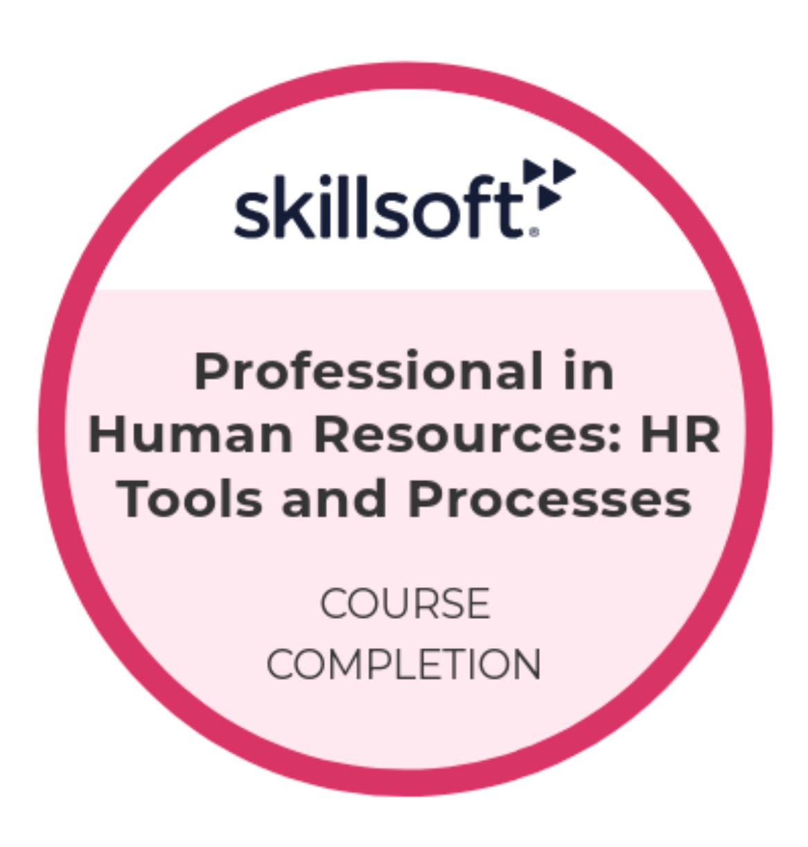 Certyfikat ukończenia kursu online Skillsoft 'Professional in Human Resources: HR Tools and Processes'. Firma oferuje kursy w Wałbrzychu.