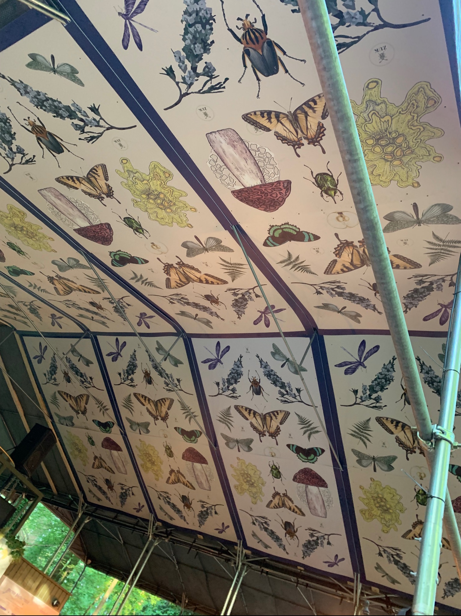 Wnętrze zadaszenia z dekoracyjną tapetą przedstawiającą motywy botaniczne i entomologiczne, widoczne metalowe elementy konstrukcyjne.