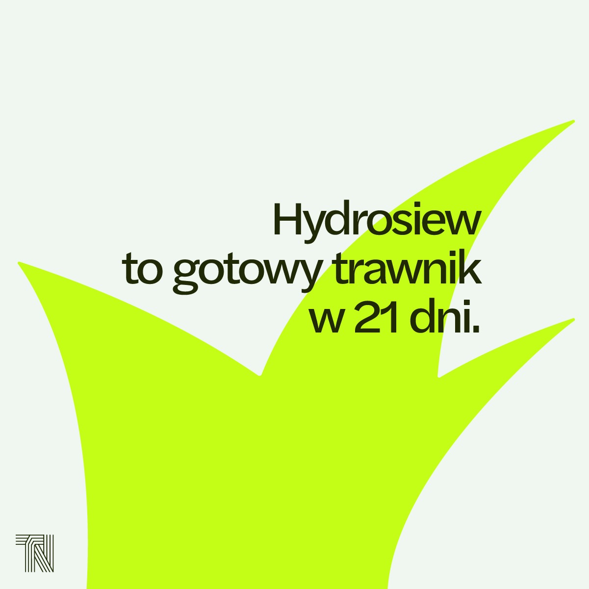 Grafika: Jasnozielona trawa stylizowana na logo z tekstem 'Hydrosiew to gotowy trawnik w 21 dni' na białym tle. Minimalistyczny design z logo w lewym dolnym rogu.