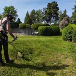 Wycinka drzew Jasionka 2