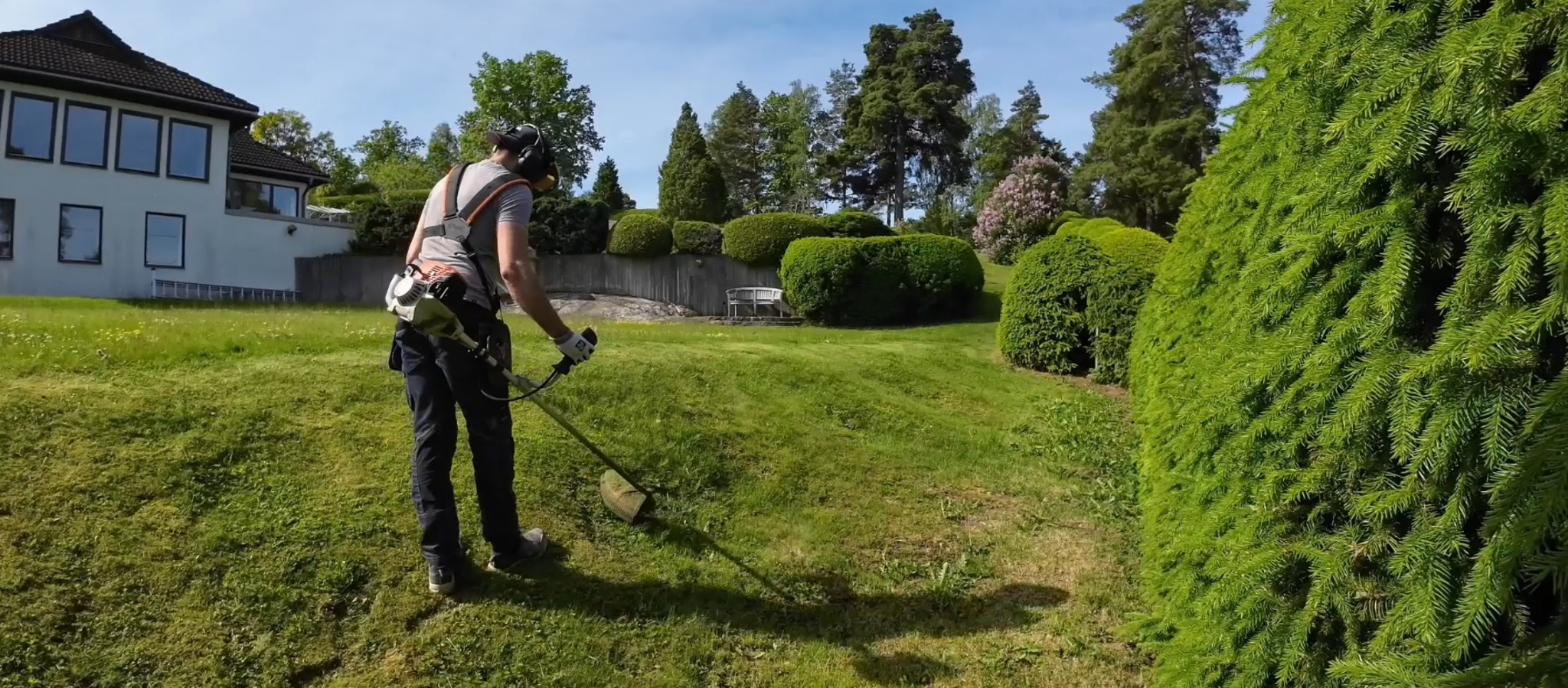 Mężczyzna w słuchawkach kosi trawę na zielonym trawniku z użyciem podkaszarki spalinowej. W tle budynek i ozdobne krzewy.
