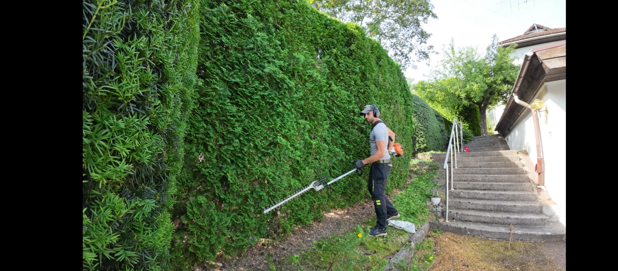 Mężczyzna w słuchawkach przycina żywopłot nożycami spalinowymi. Widoczne schody i budynek w tle. Ujęcie z boku, oświetlenie dzienne.
