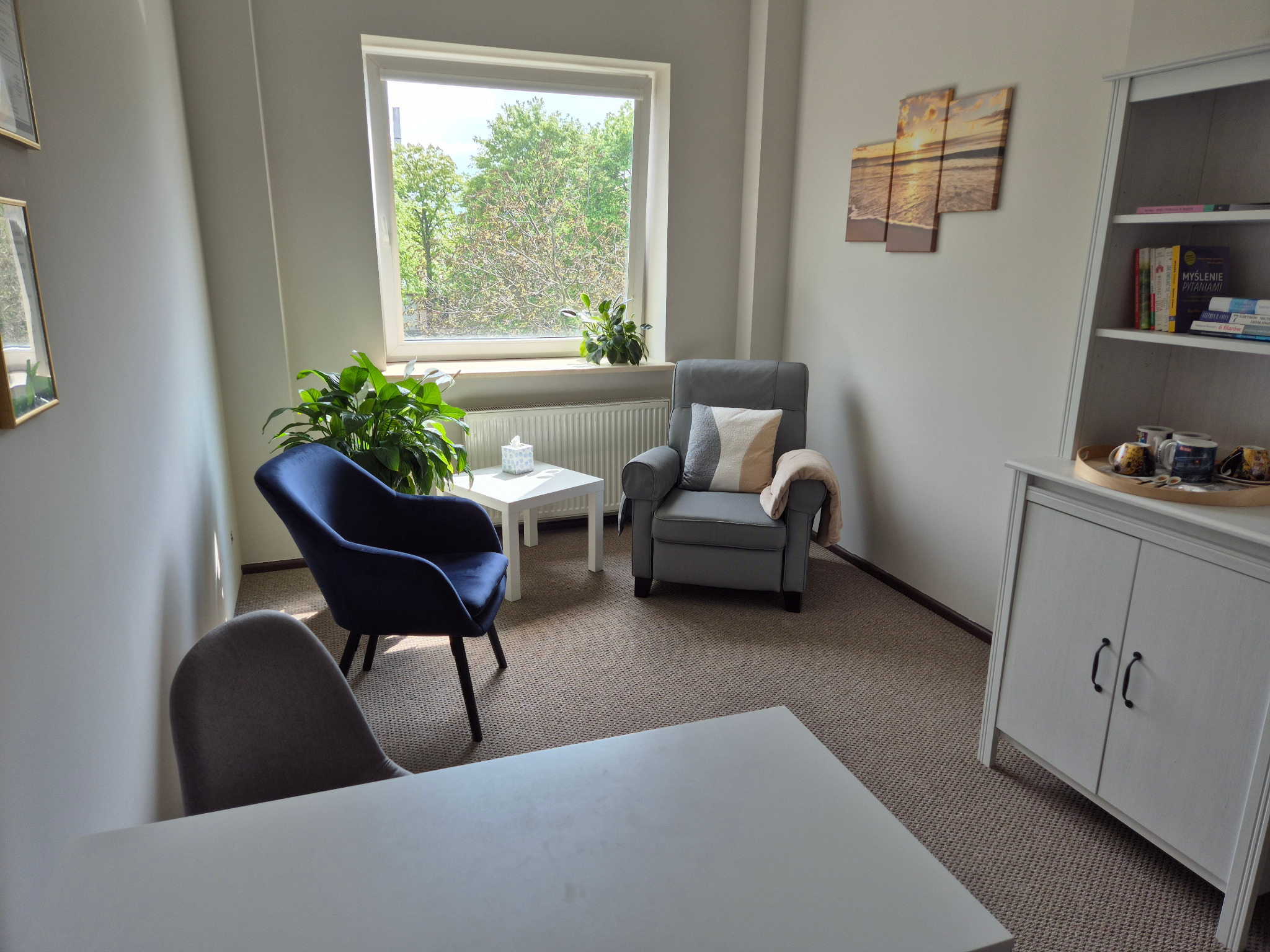 Jasny gabinet z dwoma fotelami, stolikiem kawowym i regałem na książki, w tle widok na drzewa za oknem.