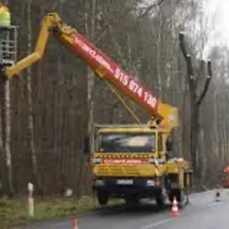 Pracownik w żółtym kombinezonie i kasku w podnośniku koszowym obcina gałęzie drzew przy drodze, w tle drugi pracownik w pomarańczowym kombinezonie i pachołki ostrzegawcze.