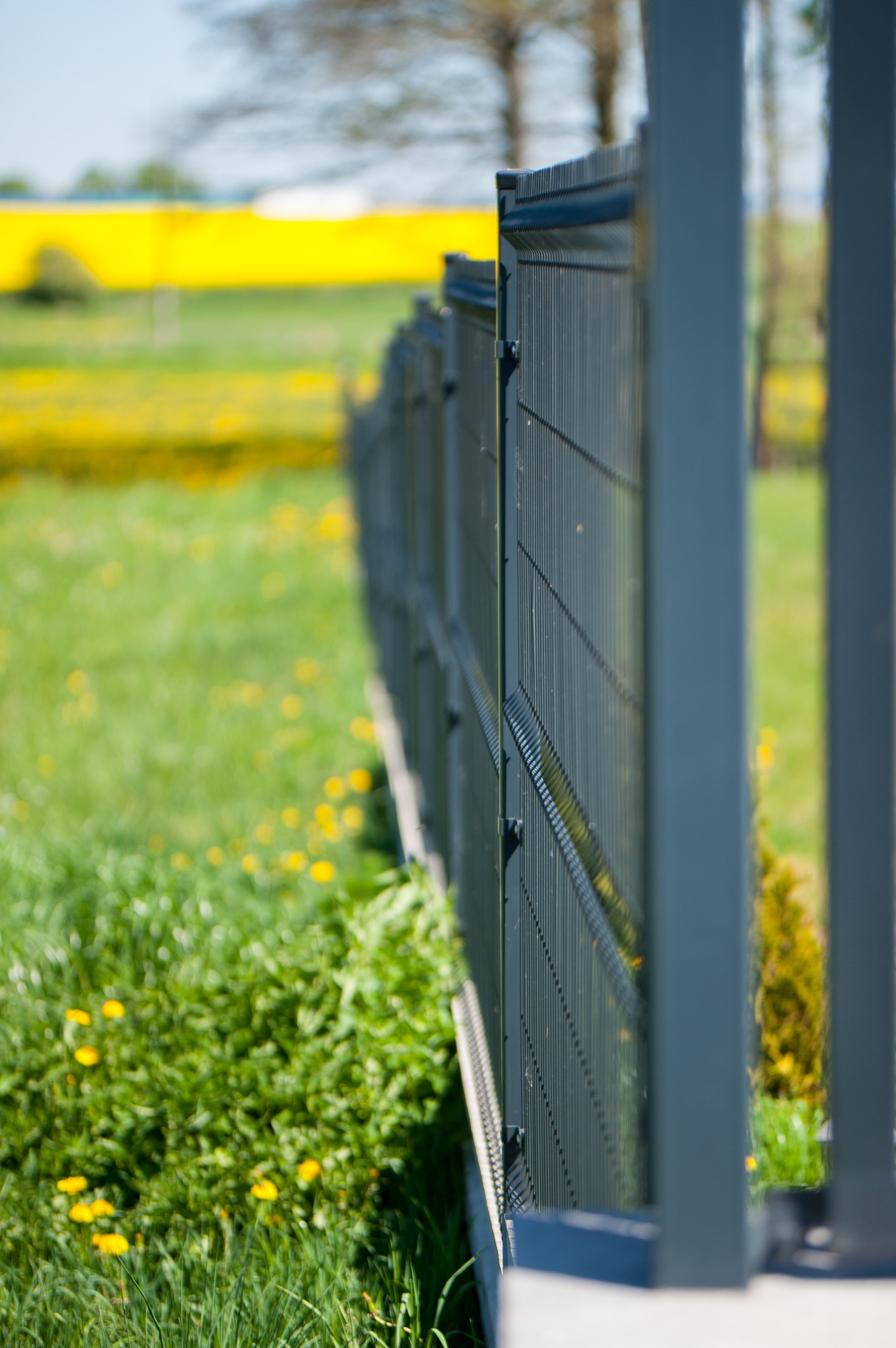 Długi, szary płot panelowy z widocznymi mocowaniami i słupkami, rozciągający się wzdłuż kwitnącej łąki z żółtymi kwiatami w tle.