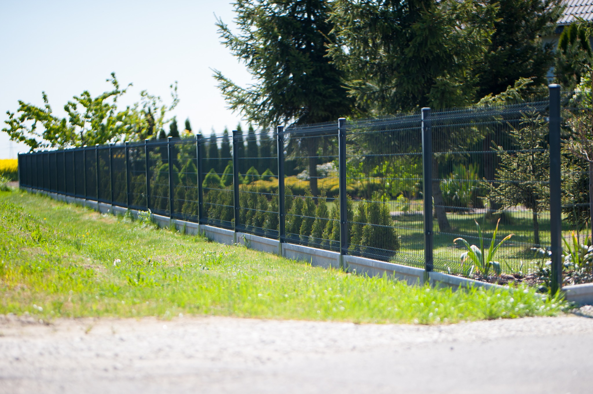 Długi, ciemny panelowy system ogrodzeniowy z podmurówką na zielonym trawniku, w tle drzewa iglaste i kwitnące pole rzepaku.