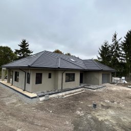 Płyta karton gips Złota 1