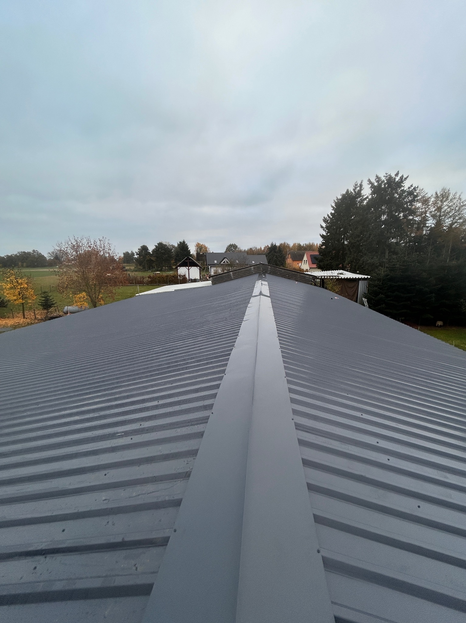 Nowy, szary dach z blachy trapezowej z wyraźnie widoczną kalenicą na tle pochmurnego nieba i jesiennego krajobrazu.