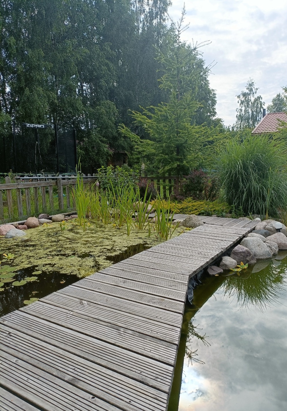 Drewniany pomost nad oczkiem wodnym z roślinnością wodną i kamieniami, w tle zielony ogród.