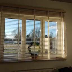 Jasne, drewniane poziome listwy w oknie z widokiem na drzewa i jezioro, z doniczkową rośliną na parapecie, oświetlone popołudniowym słońcem.