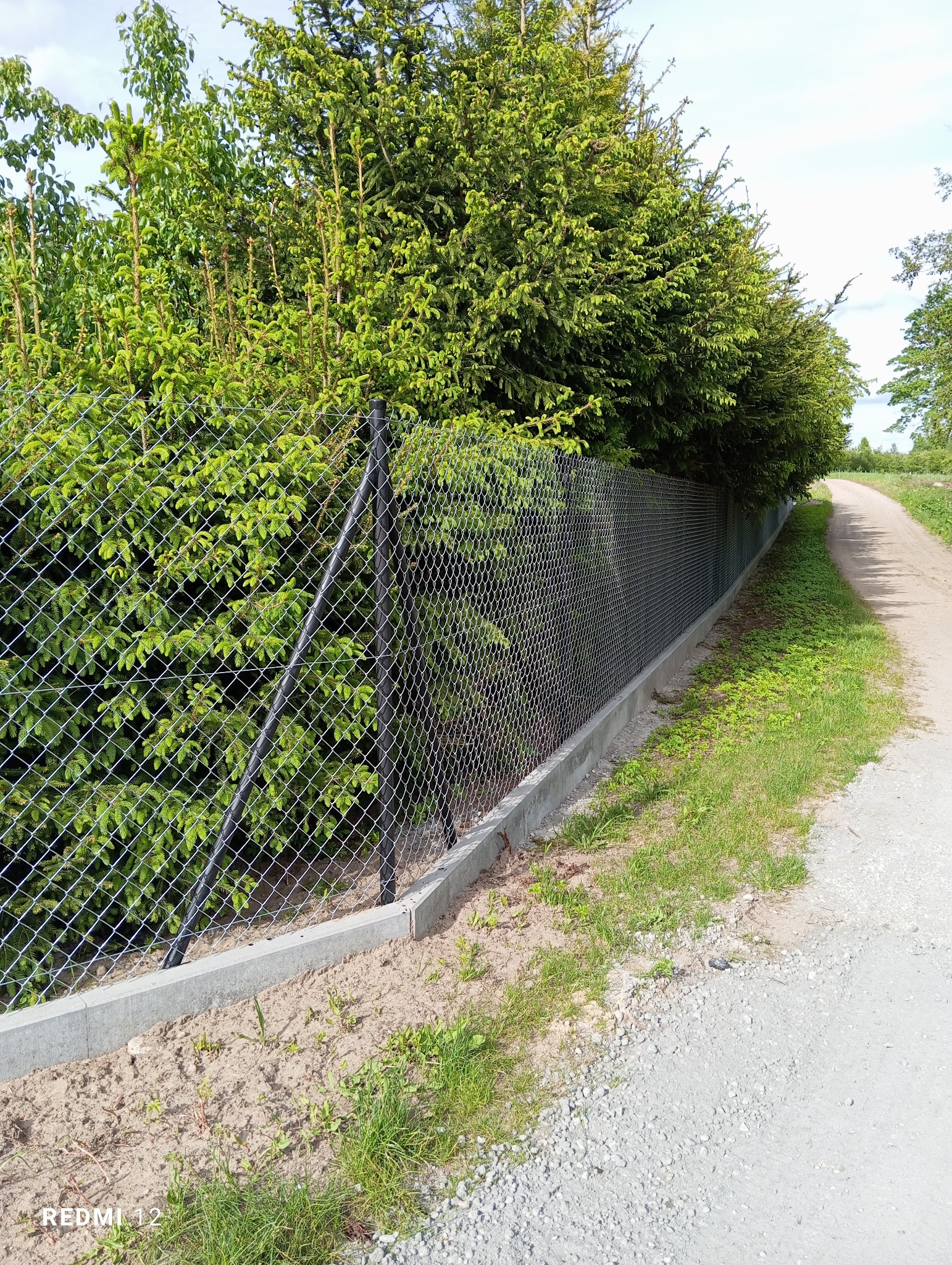 Srebrna siatka ogrodzeniowa na betonowej podmurówce, otoczona zielenią i drzewami wzdłuż polnej drogi. Widoczny czarny słupek i fragment nieba.
