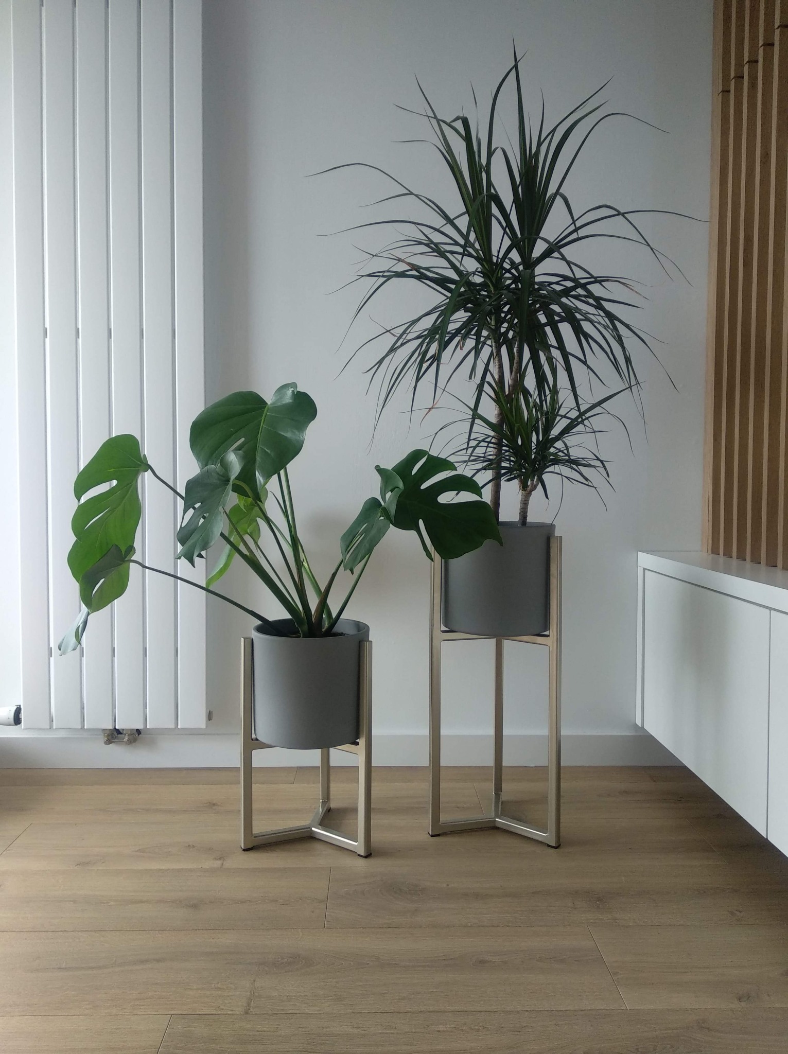 Dwie rośliny doniczkowe: Monstera i Dracena, w szarych donicach na metalowych, srebrnych stojakach, na tle białej ściany z drewnianymi panelami i grzejnika.