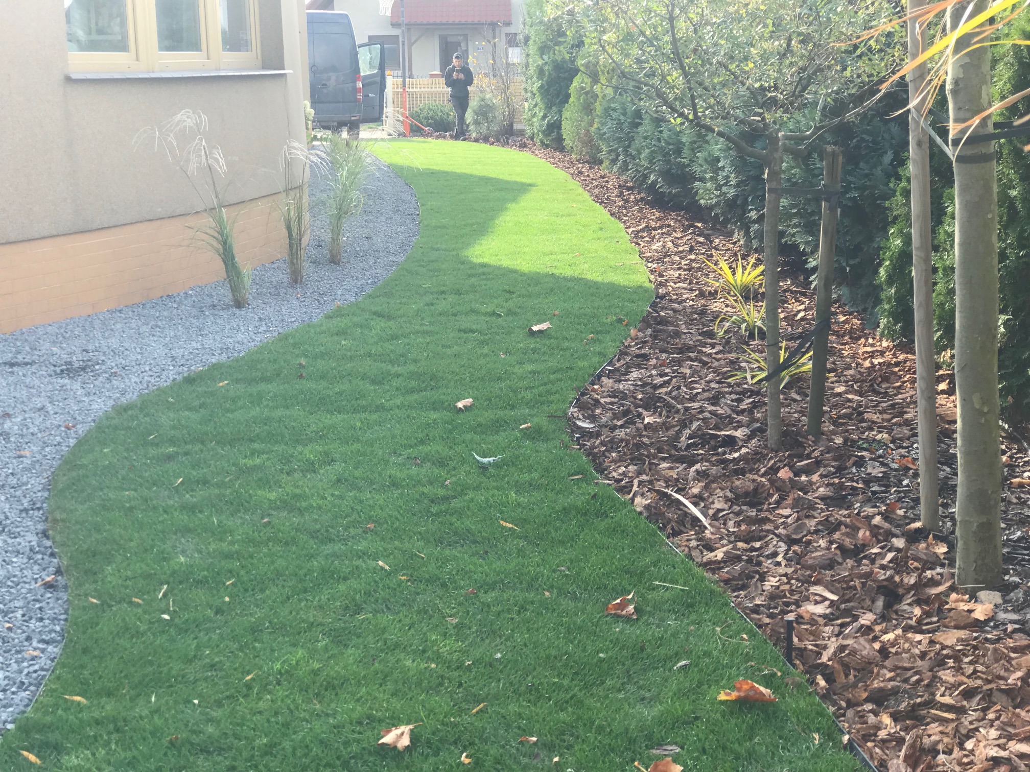 Świeżo założony trawnik z rolki, oddzielony grysem od budynku i korą od drzew. Osoba w tle. Jesienne liście na trawie.