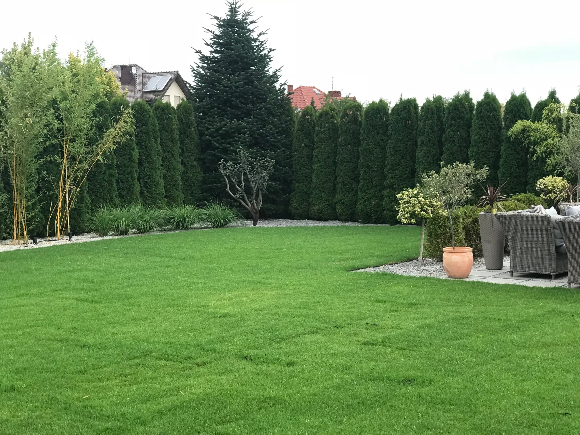 Zadbany ogród z równo przystrzyżonym trawnikiem, obrzeżami z białego żwiru i szpalerem wysokich, zielonych tuj. W tle dom z czerwonym dachem.
