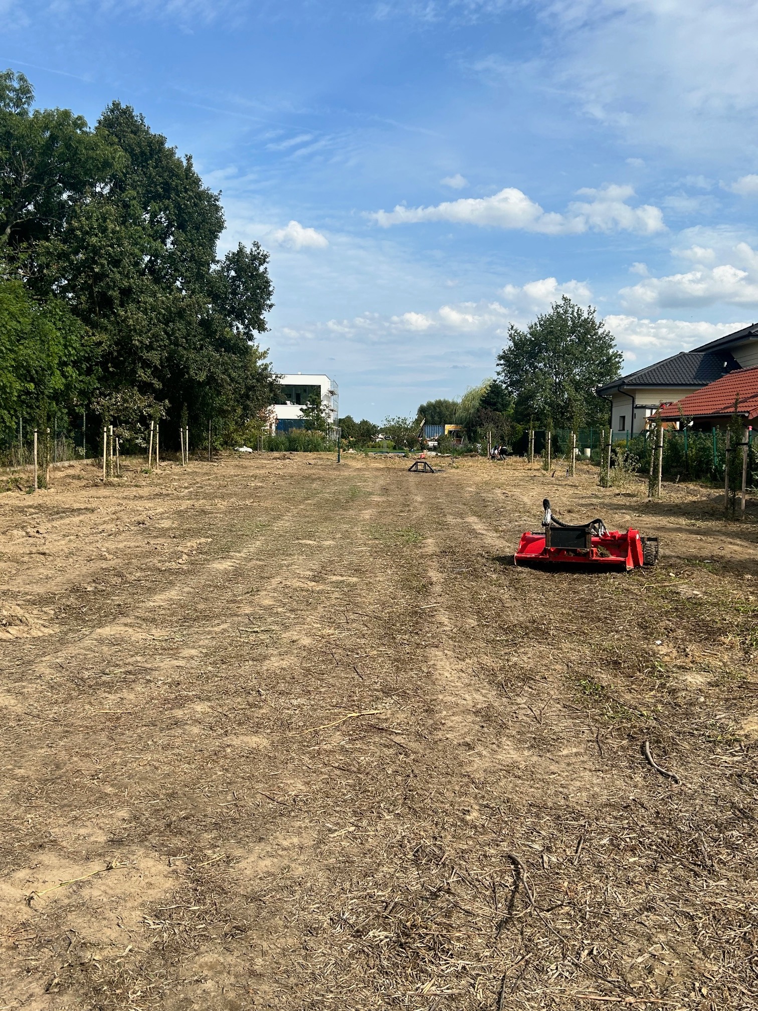 Przygotowany teren pod trawnik z młodymi drzewkami i czerwoną kosiarką. Błękitne niebo z chmurami w tle.