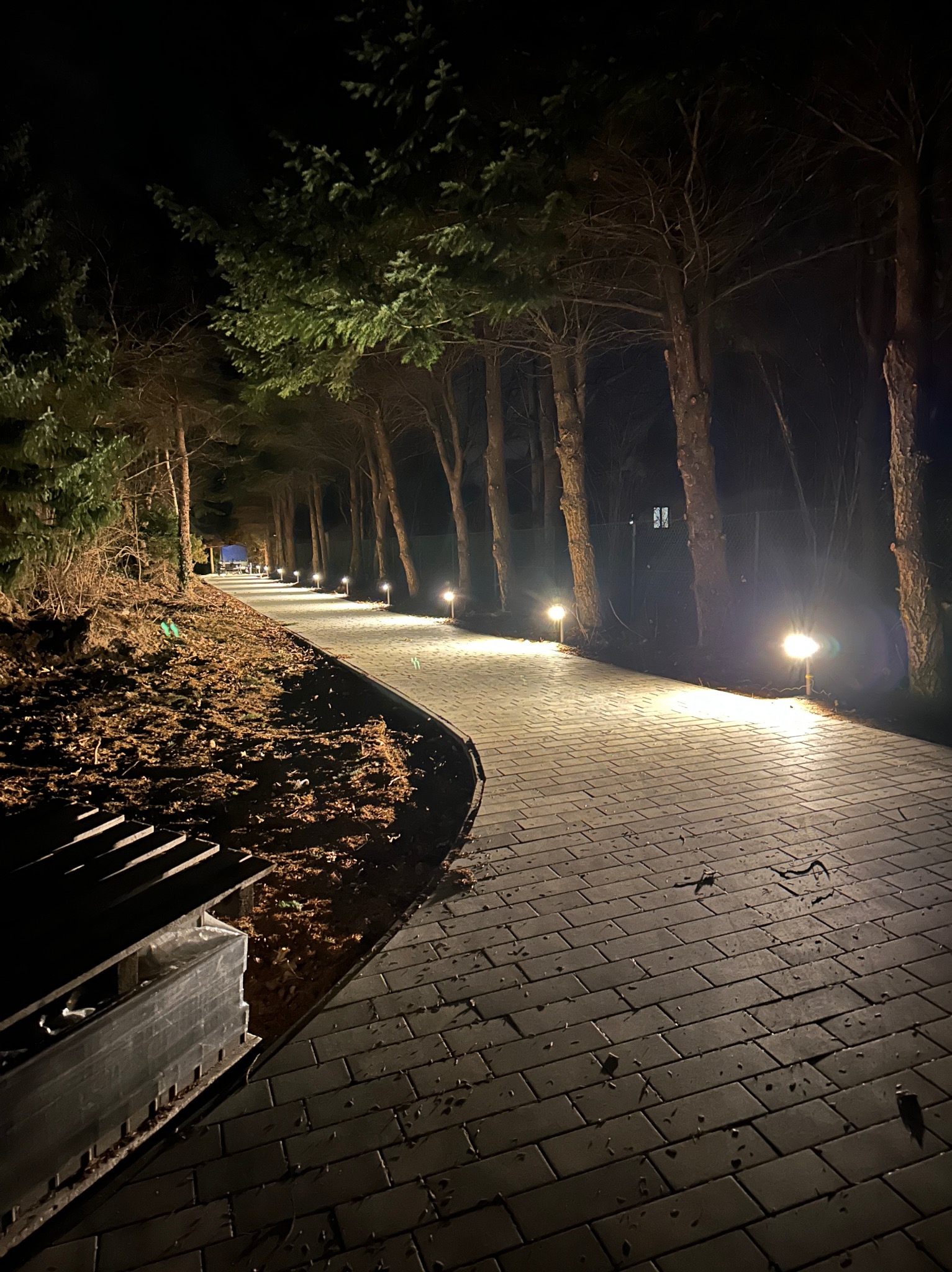 Oświetlona nocą ścieżka z kostki brukowej, obok drzewa i przygotowane podłoże pod nasadzenia.