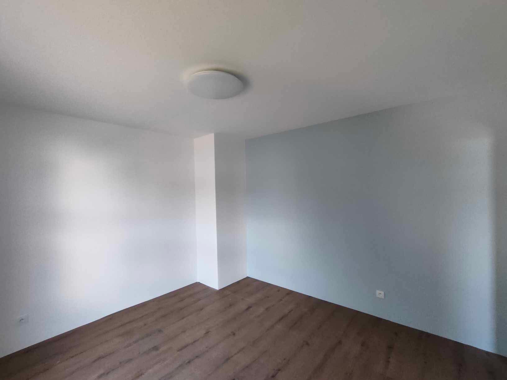 Pomalowane na biało i szaro ściany w pustym pokoju z panelami podłogowymi w odcieniach brązu, widoczna lampa sufitowa.