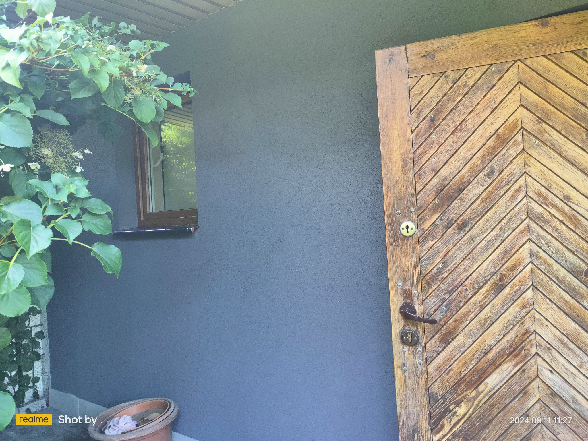 Elewacja silikat w kolorze