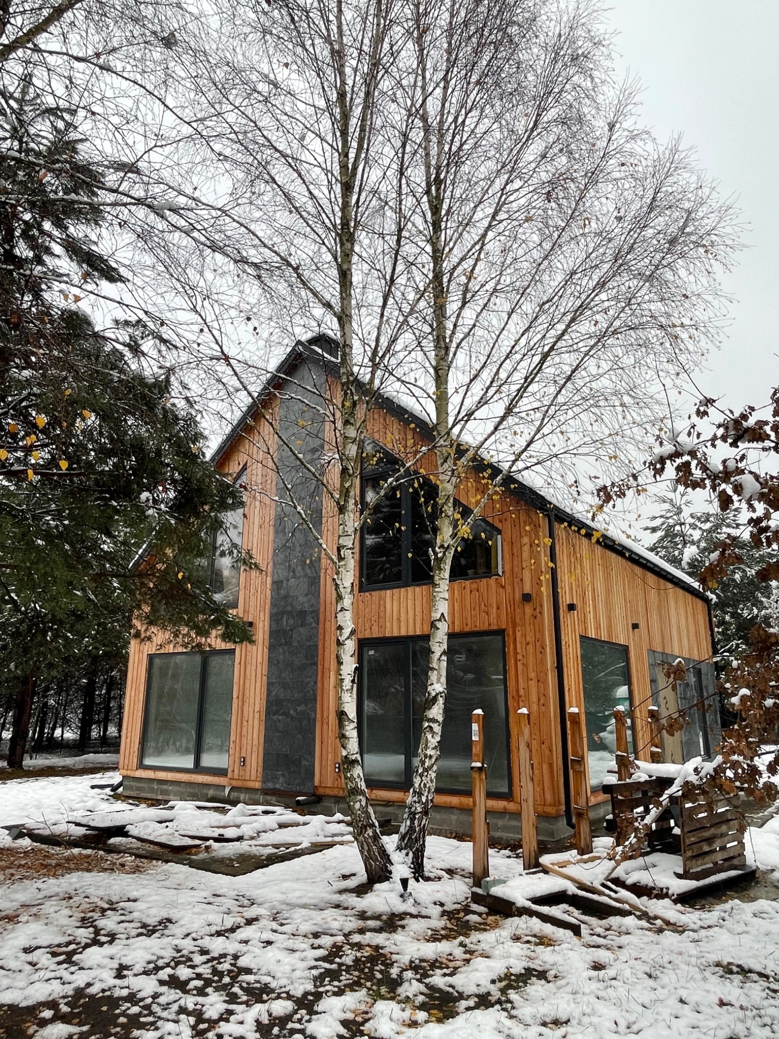 Nowoczesny dom z drewnianą elewacją i ciemną okładziną w zimowej scenerii, widoczne brzozy bez liści na pierwszym planie i śnieg na ziemi.