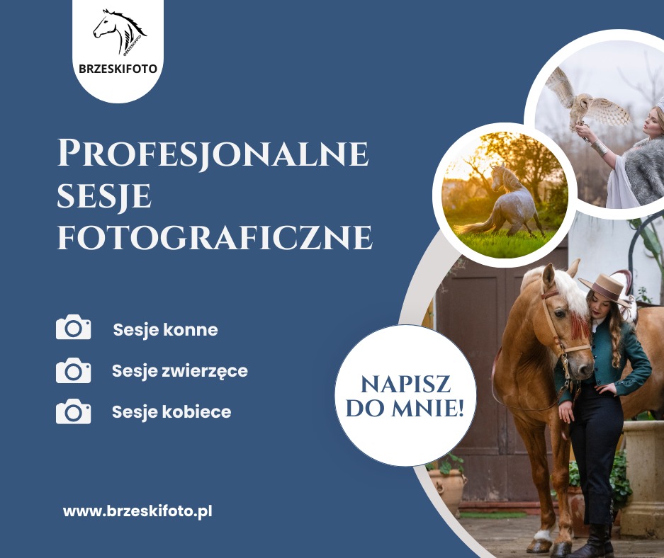 Profesjonalne sesje fotograficzne: konne, zwierzęce i kobiece. Na zdjęciu kobieta z koniem, sowa na ręce modelki i galopujący koń w promieniach zachodzącego słońca.