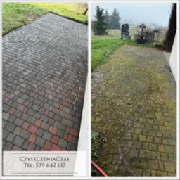 Porównanie kostki brukowej przed i po czyszczeniu: po lewej stronie czysta, wielobarwna kostka (czerwona, szara, brązowa), po prawej kostka pokryta mchem i zabrudzeniami, w tle widoczne drzewa i mgła.