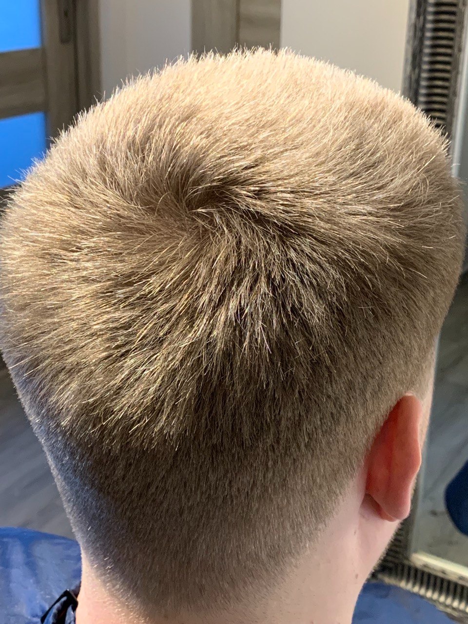 Krótko ostrzyżone, jasne włosy z widocznym wirkiem na czubku głowy, delikatne cieniowanie przy karku.