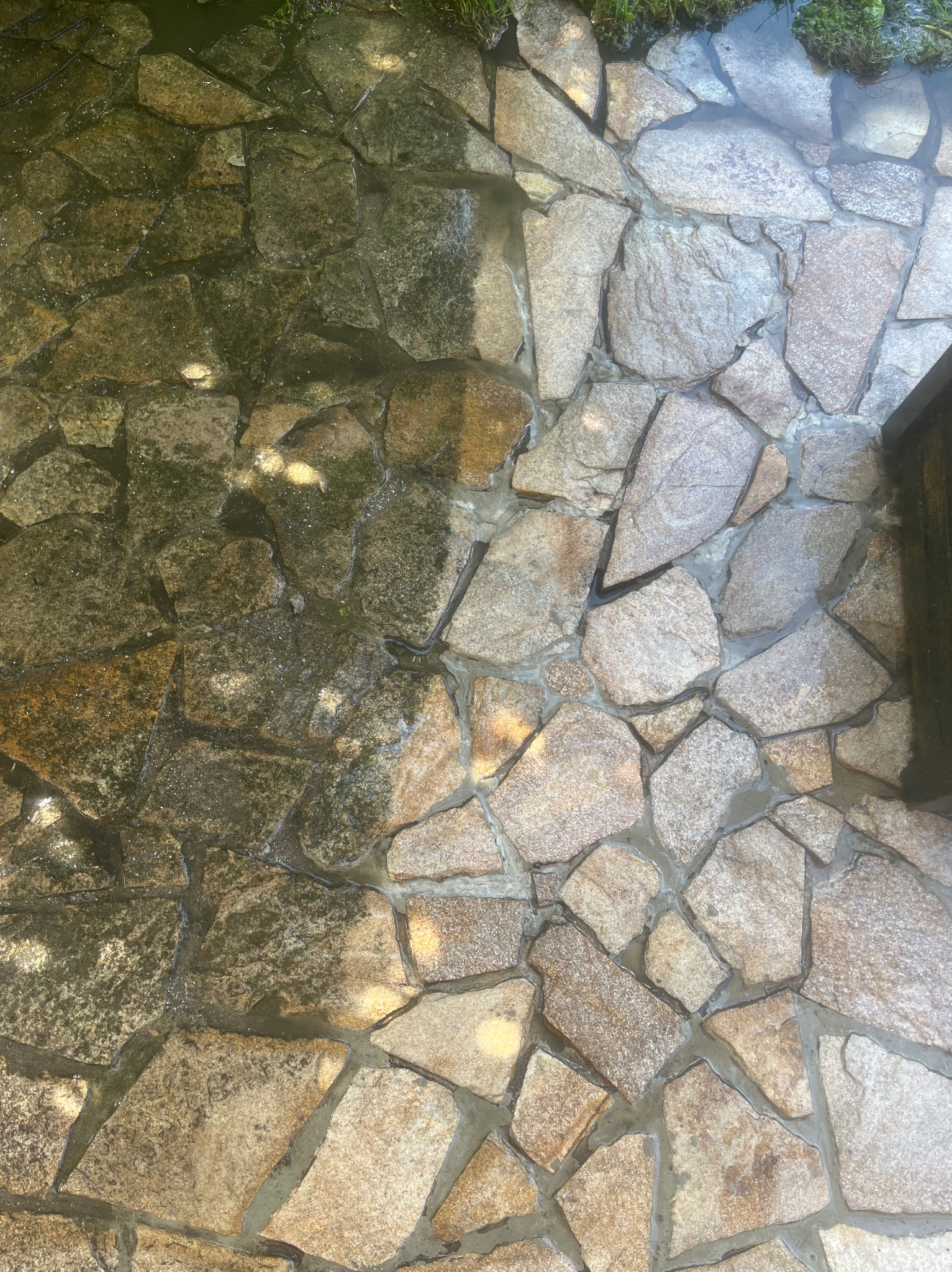 Fragment kostki granitowej, widoczna różnica po czyszczeniu: lewa strona pokryta mchem, prawa czysta i mokra. Ujęcie z góry, oświetlenie naturalne.