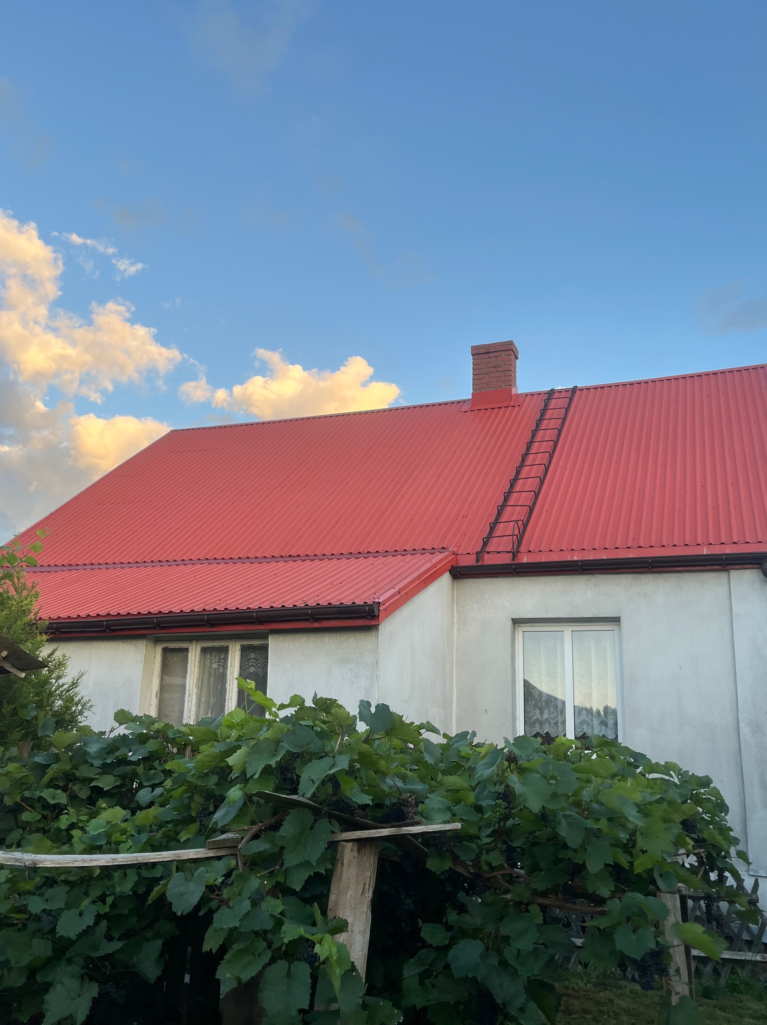 Dom z nowym, czerwonym dachem z blachy trapezowej i drabinką kominiarską. Biała elewacja, błękitne niebo z chmurami w tle. Krzewy winorośli w dolnej części kadru.