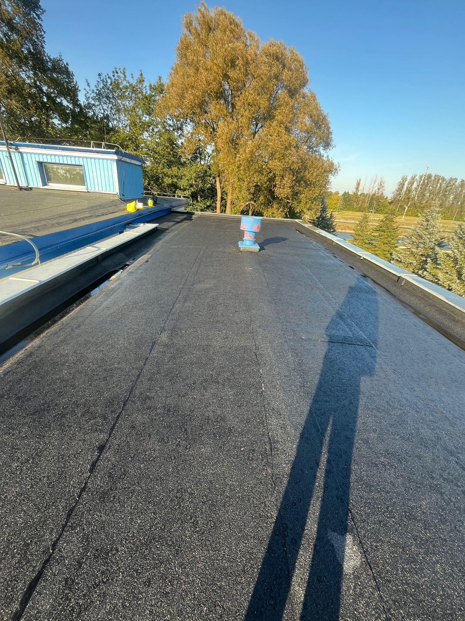 Czarny, płaski dach pokryty papą z widocznym kominkiem wentylacyjnym i cieniem osoby. W tle błękitne niebo i drzewa.