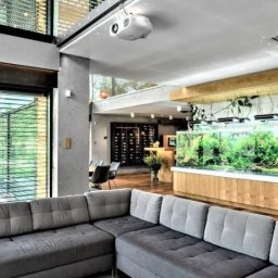 ELEKTRO - Nowoczesny salon z szarą sofą narożną, dużym akwarium z roślinami, projektorem sufitowym i widokiem na zieleń przez okno z żaluzjami.