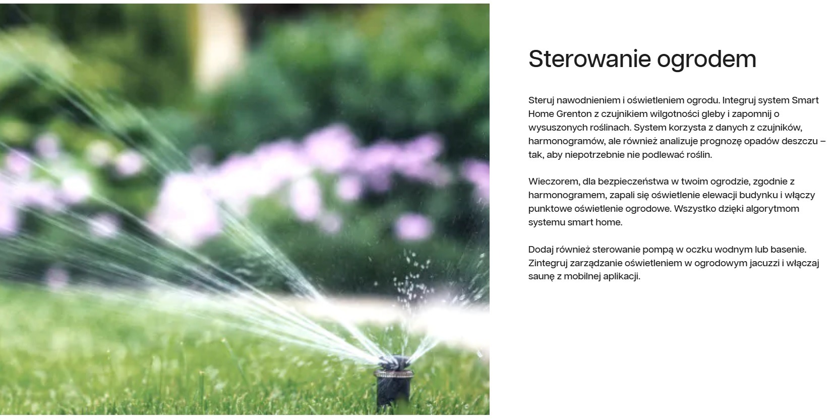 Zraszacze ogrodowe w akcji, nawadnianie trawnika z użyciem systemu automatycznego podlewania, w tle rozmyte krzewy.