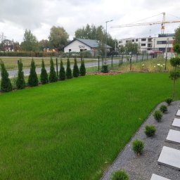 Trawa z rolki Lesznowola 1