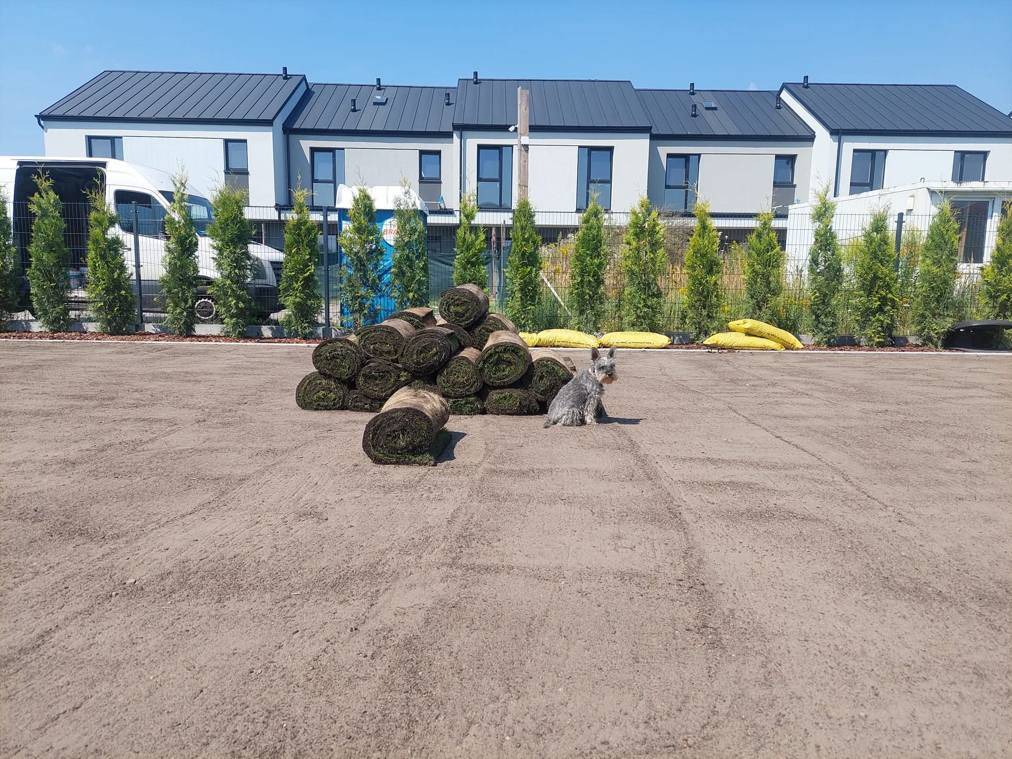 Stos rolek trawy na przygotowanym gruncie, mały pies siedzi obok; w tle rząd nowych domów i zielone tuje wzdłuż ogrodzenia. Słoneczny dzień.