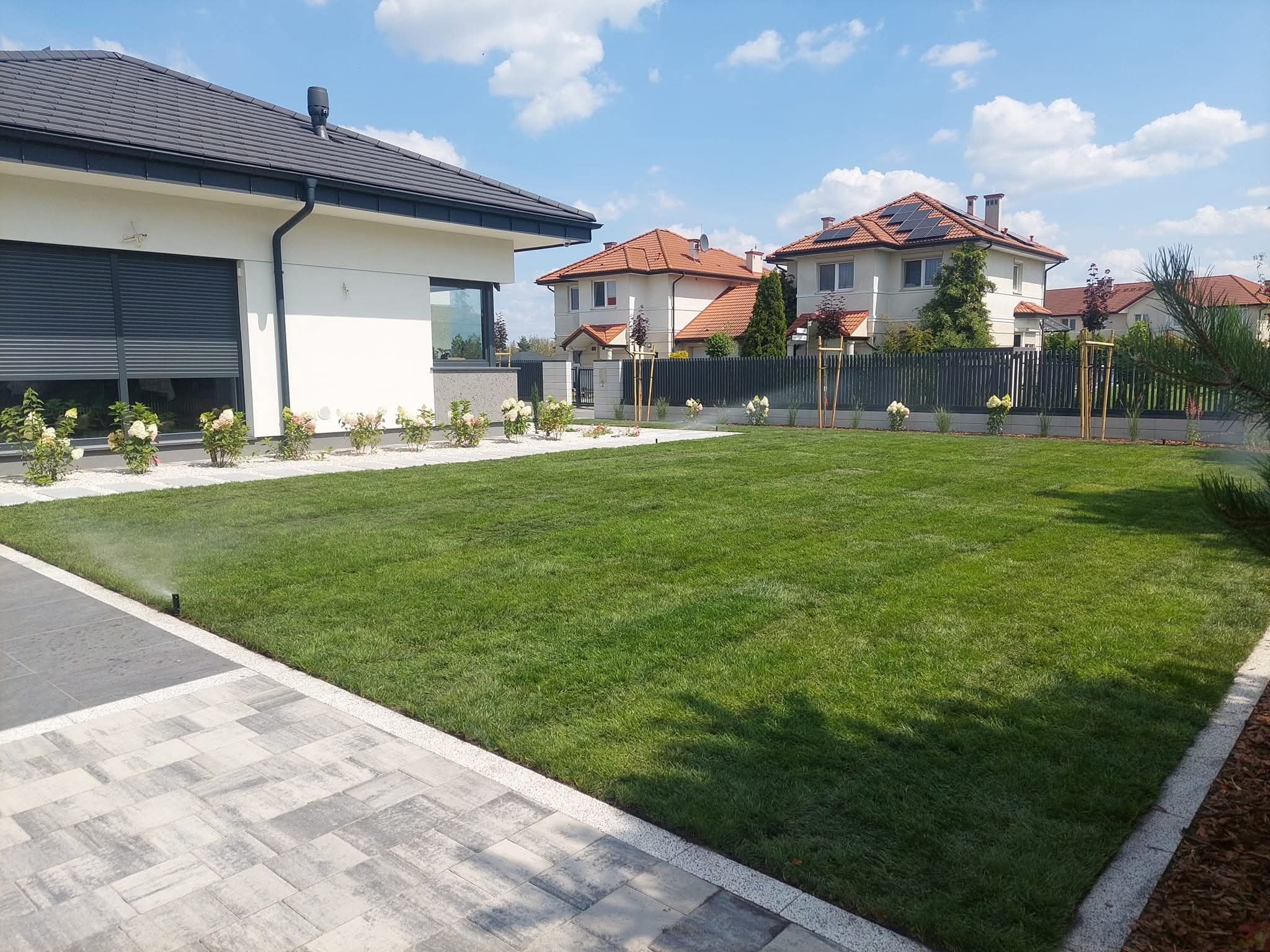 Zadbany trawnik z systemem nawadniania w Lesznowoli. Widoczne nasadzenia z białymi kwiatami wzdłuż ogrodzenia i kostka brukowa. W tle domy jednorodzinne.