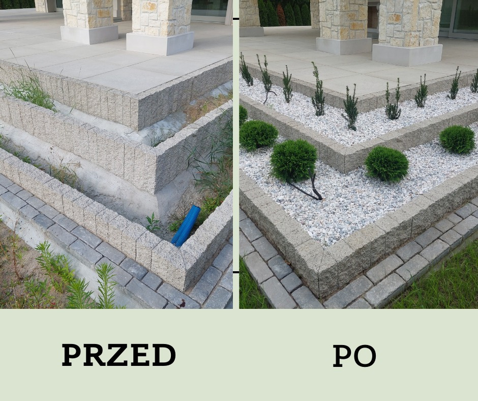 Porównanie 'przed' i 'po' zagospodarowania przestrzeni przed domem: zaniedbana rabata z chwastami kontra uporządkowana, wysypana białym kamieniem, z nasadzeniami iglaków i kulistych krzewów.