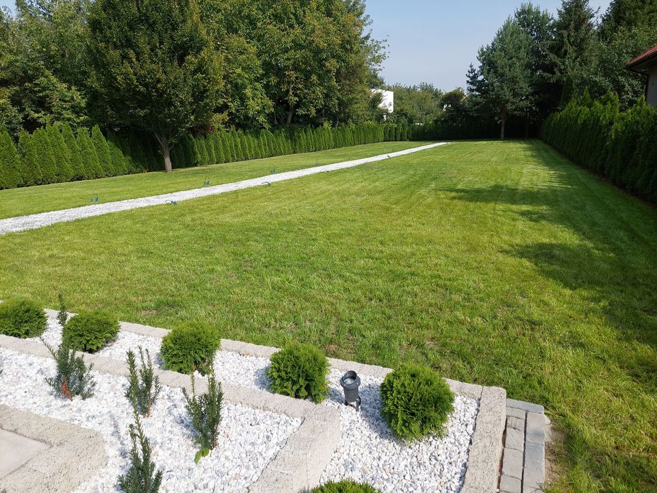 Rozległy, zadbany trawnik z równo przystrzyżoną trawą, ścieżką z białego żwiru i żywopłotem z tuj. W pierwszym planie rabata z białym grysem i niskimi krzewami iglastymi.