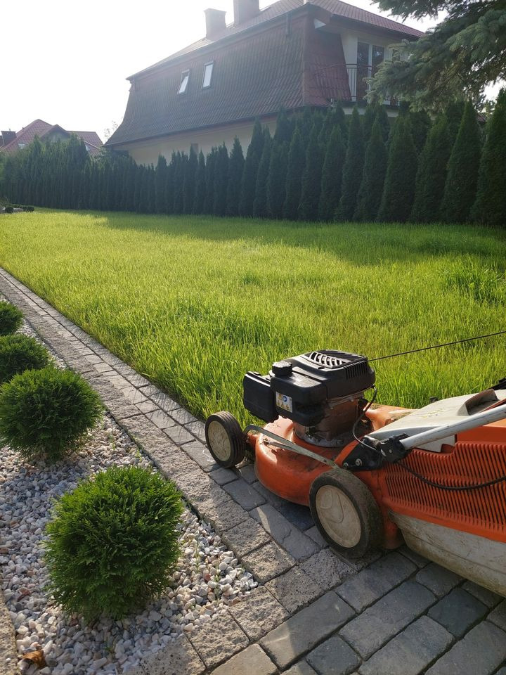Pomarańczowa kosiarka spalinowa stoi na kostce brukowej obok trawnika, w tle rząd tuj i dom z czerwonym dachem.