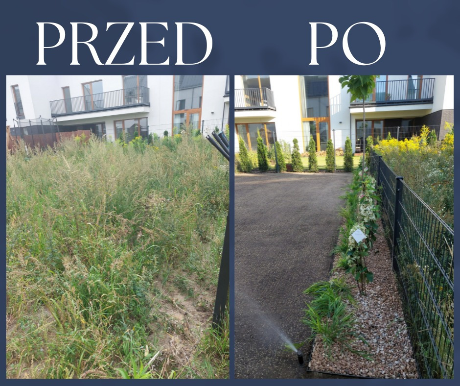 Porównanie stanu działki przed i po: zarośnięta trawa kontra uporządkowany teren z nasadzeniami, ścieżką i systemem nawadniania.